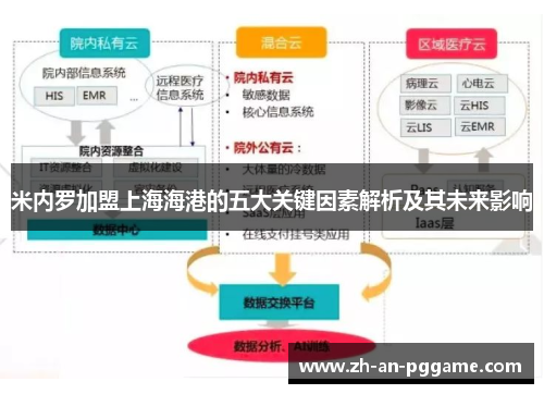 米内罗加盟上海海港的五大关键因素解析及其未来影响 米内罗加盟上海海港的五大关键因素解析及其未来影响